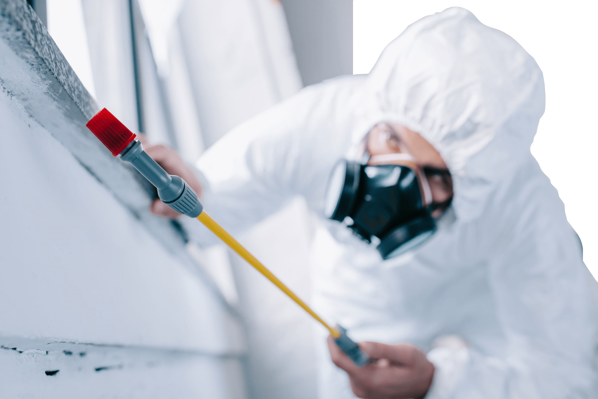 Pest Control